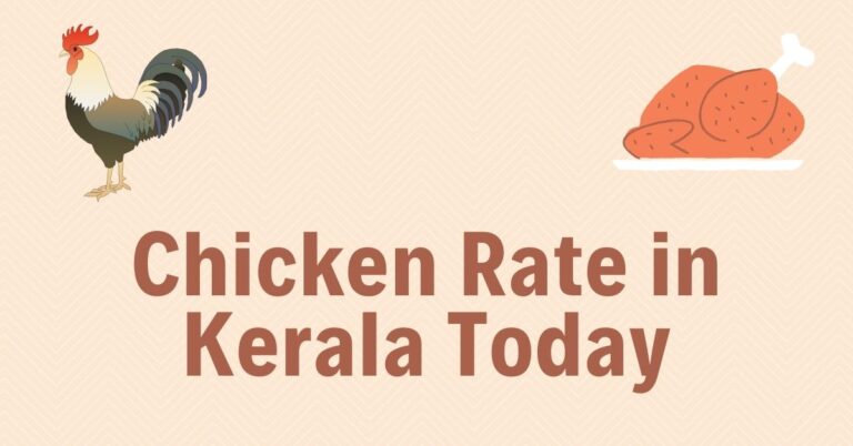 Chicken Rate Today | LIVE Broiler Chicken Price in Kerala 1Kg