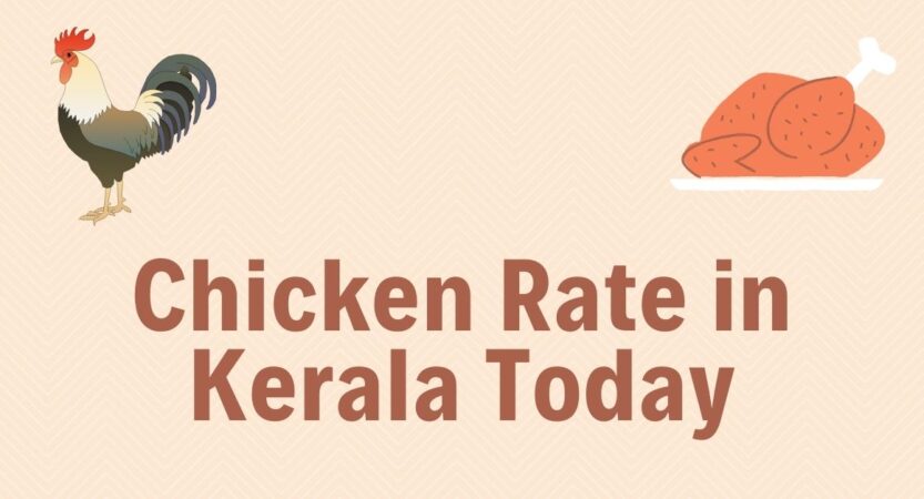 Chicken Rate Today | LIVE Broiler Chicken Farm Price in Kerala 2022