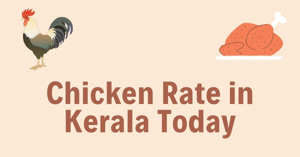 Chicken Rate Today | LIVE Broiler Chicken Farm Price in Kerala 2022