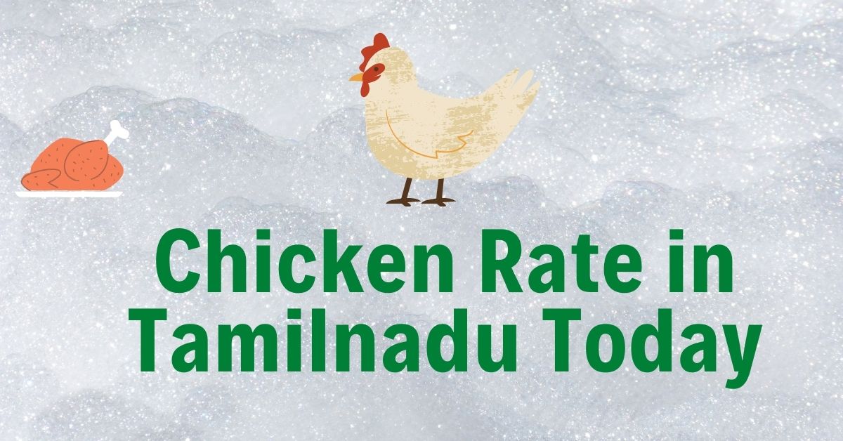 Today Chicken Rate in Tamil Nadu & Palladam Chicken Rate
