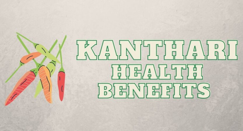 Kanthari Mulaku in English, Tamil | Kanthari Health Benefits