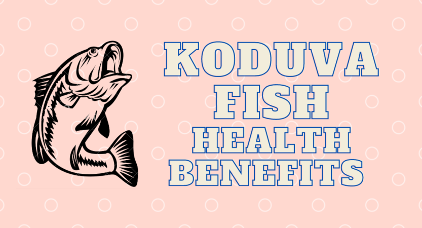 Koduva Fish in English, Tamil, Malayalam, Telugu, Kannada