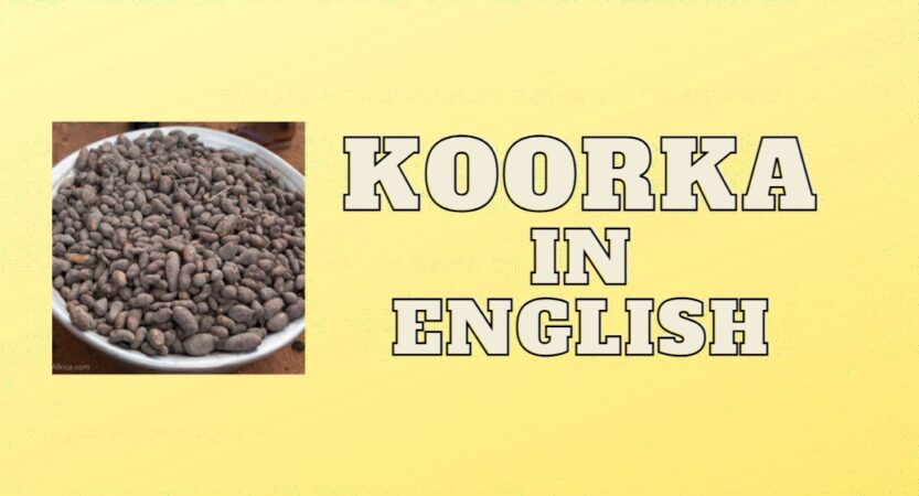 Koorka in English | Koorka Health Benefits