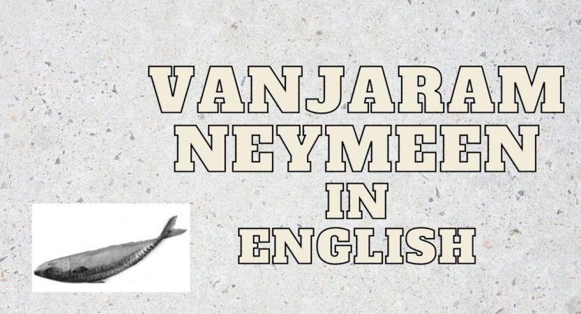 Vanjaram/Neymeen/Ayakoora Fish in English | Benefits