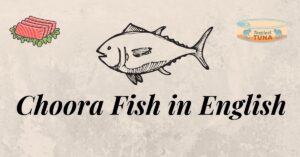 Chura Fish in English | Choora Benefits | Tuna Fish Names