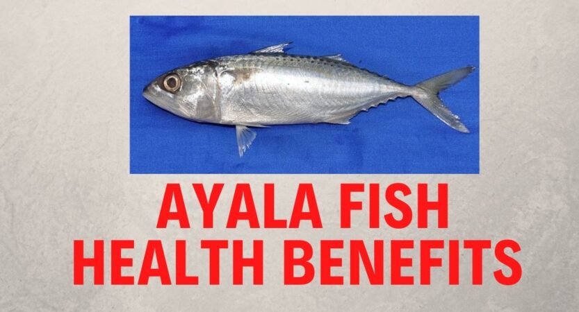 Ayala Fish in English | Ayala Fish Health Benefits