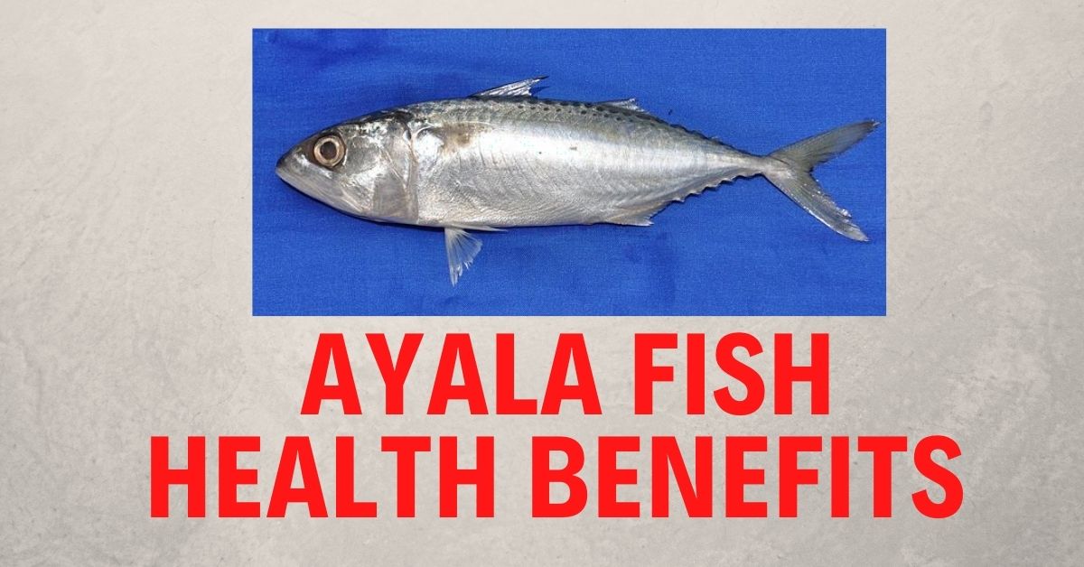 Ayala Fish in English & Health Benefits