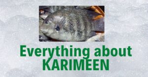Karimeen in English | Karimeen Benefits | Pearl Spot Names