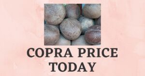 Copra Price Today | Tiptur, Arsikere Kobbari Rate Today