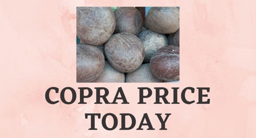 Copra Price Today 2022 | Tiptur Copra Rate  | Arsikere Copra Rate
