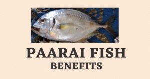 Paarai Fish in English | Parai Fish Health Benefits | Trevally
