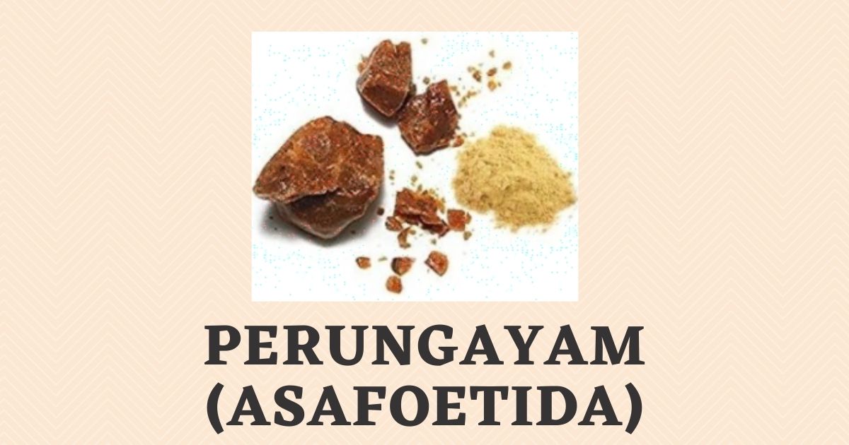Perungayam in English | Benefits | Asafoetida Hindi, Telugu Name