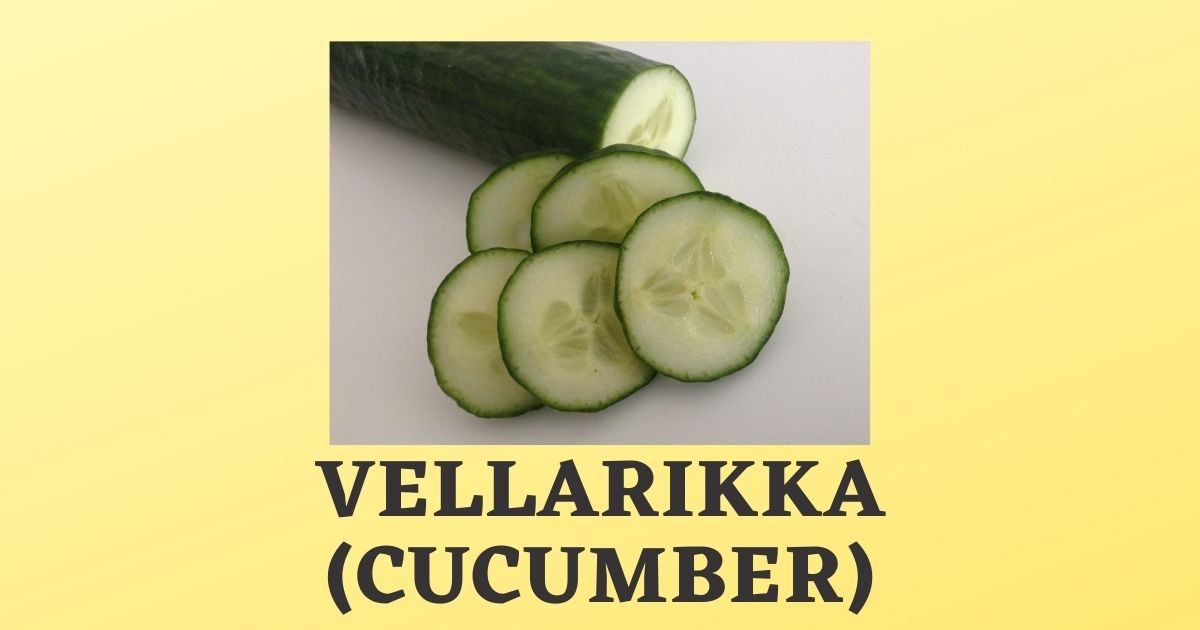 Vellarikka English | Benefits | Cucumber Hindi, Tamil Meaning