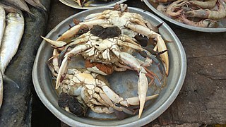 crab meaning in hindi