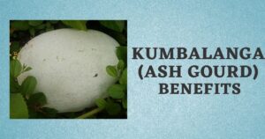 Kumbalanga in English | Benefits | Ash Gourd Names