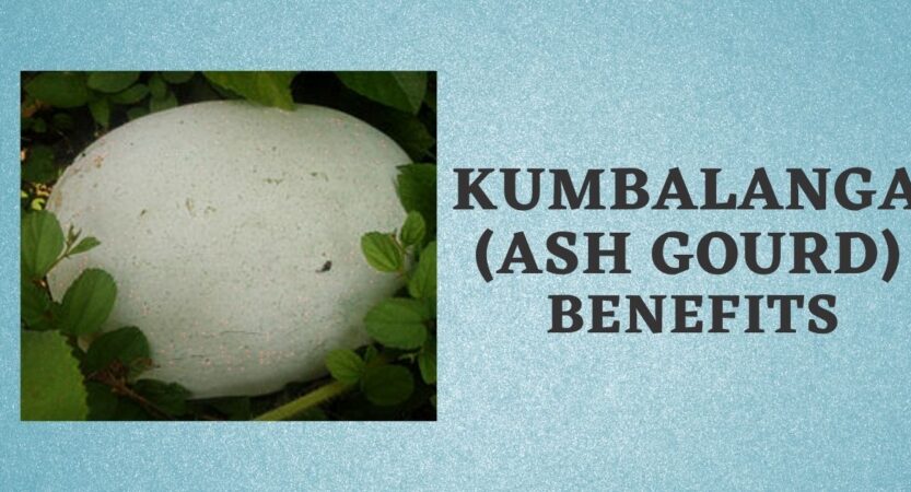 Kumbalanga in English | Benefits | Ash Gourd Names