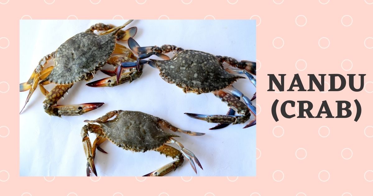 Nandu in English | Crab Meaning in Hindi, Telugu, Tamil | Benefits