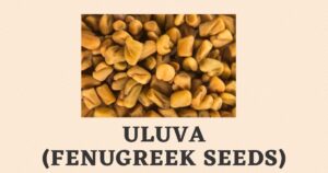 Uluva English | Benefits | Fenugreek Seeds | Vendhayam | Methi