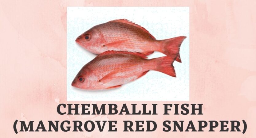 Chemballi Fish in English, Tamil | Chempalli Fish | Benefits