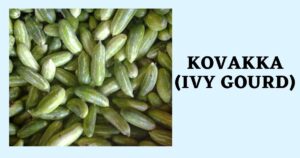 Kovakkai in English | Kovakkai Benefits | Ivy Gourd Names