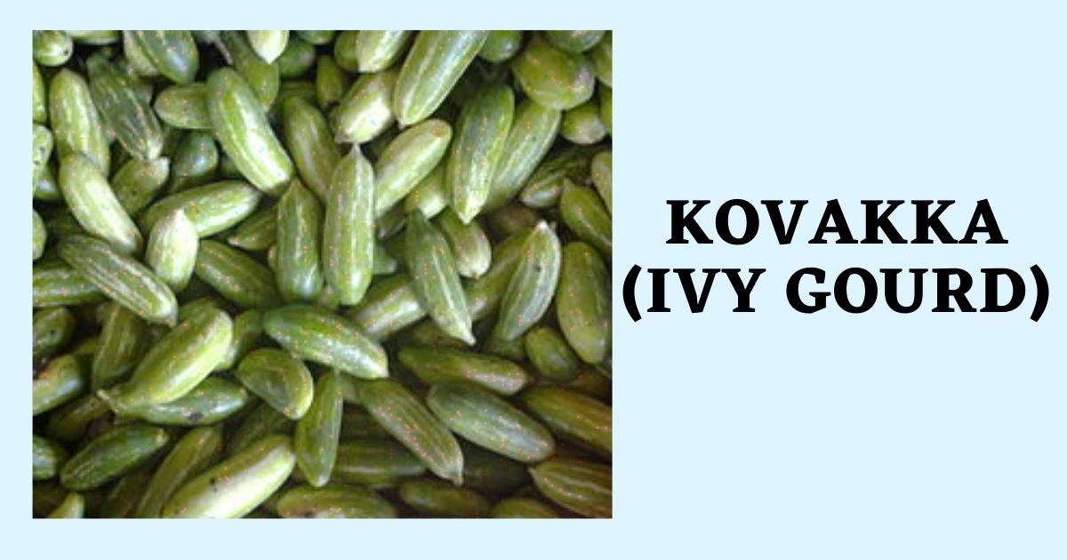 Kovakka in English | Kovakkai Benefits | Ivy Gourd Names