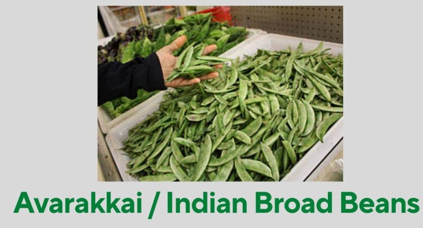 Avarakkai in English | Avarakkai Benefits | Broad Beans Names