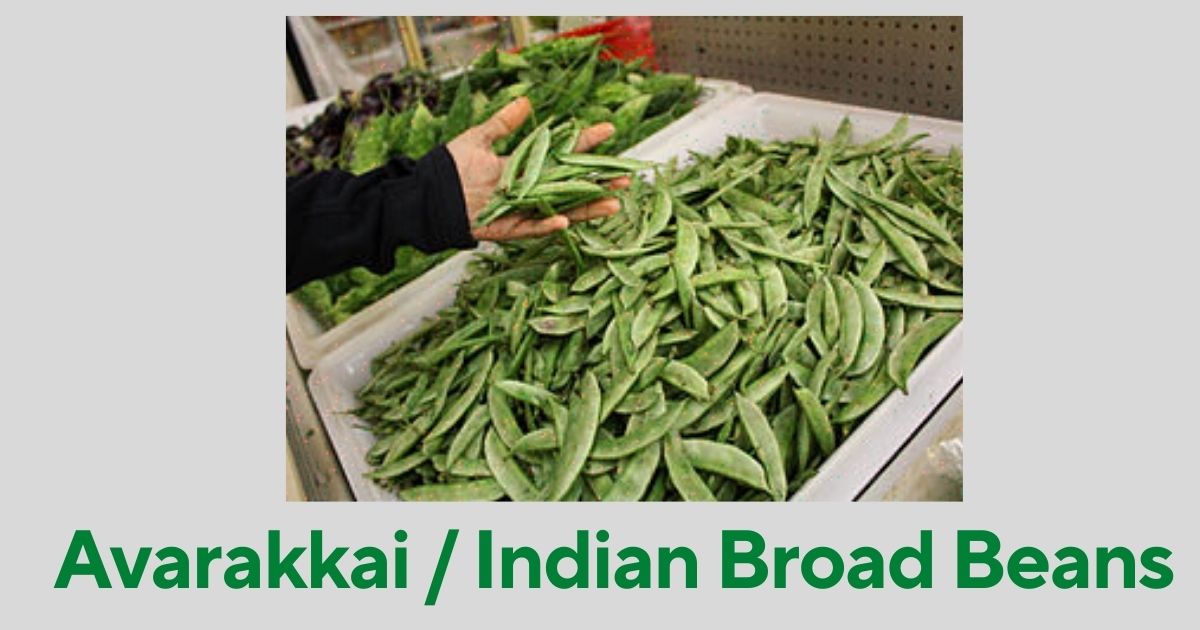 Avarakkai in English | Avarakkai Benefits | Broad Beans Names