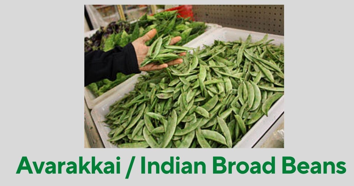 Surmai Fish In English Surmai Benefits Tamil Telugu Bengali Names Surmai Fish In English Surmai Benefits Tamil Telugu Bengali Names