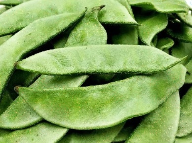 Indian broad beans