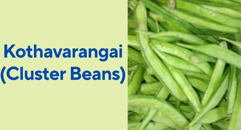 Kothavarangai in English | Kothavarangai Benefits | Cluster Beans Names