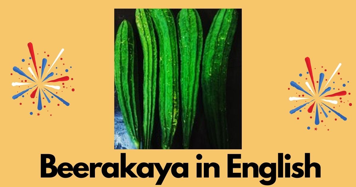 Beerakaya in English | Beerakaya Benefits | Beerakaya English Name