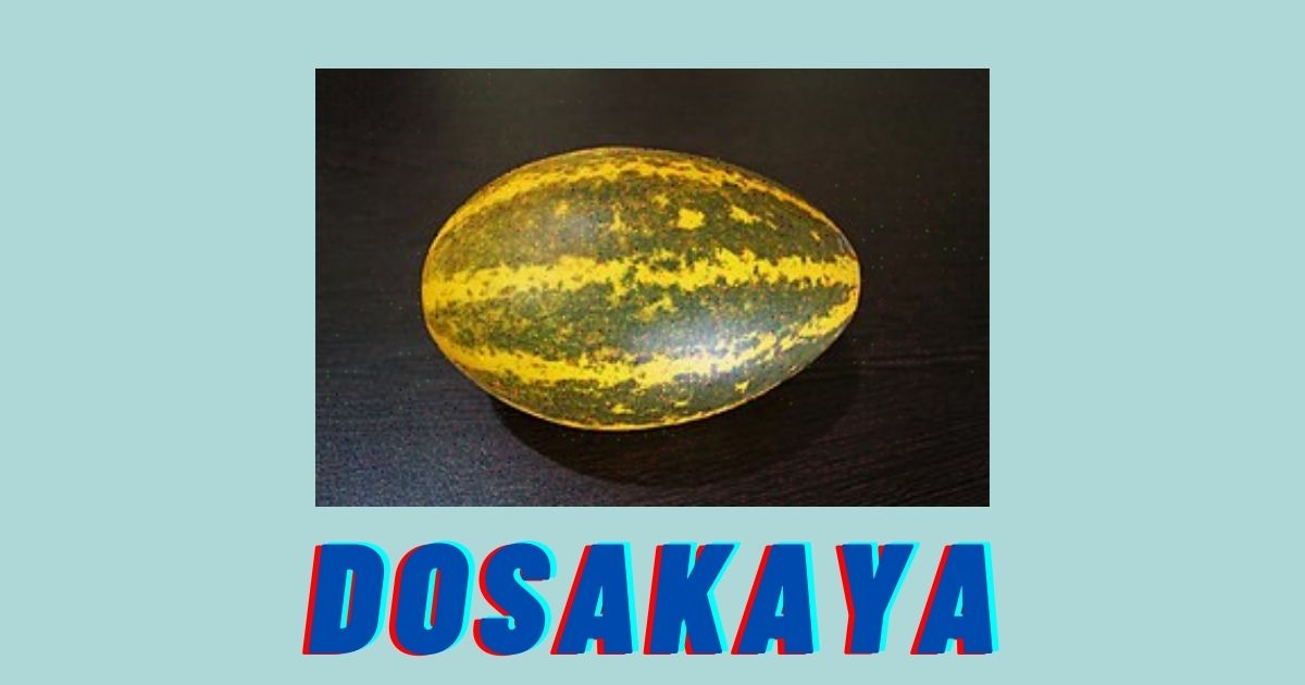 Dosakaya in English | Dosakaya Health Benefits