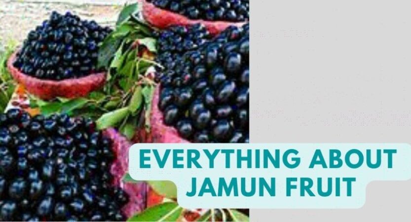 Jamun in English | Jamun Benefits | Jamun Fruit