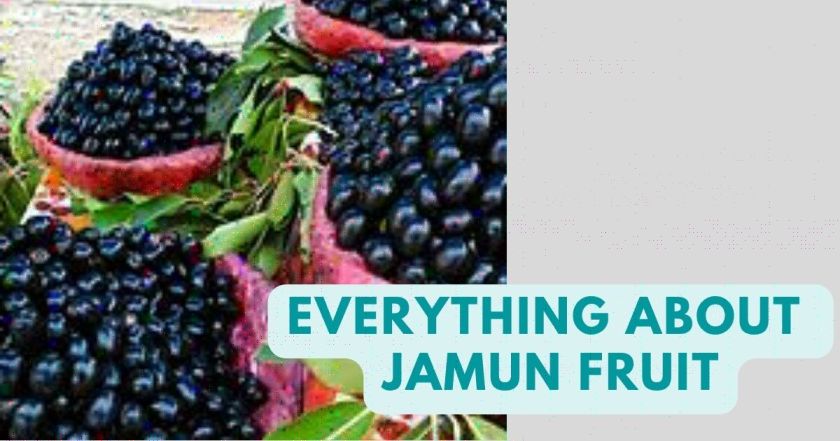 Jamun in English | Jamun Benefits | Jamun Fruit