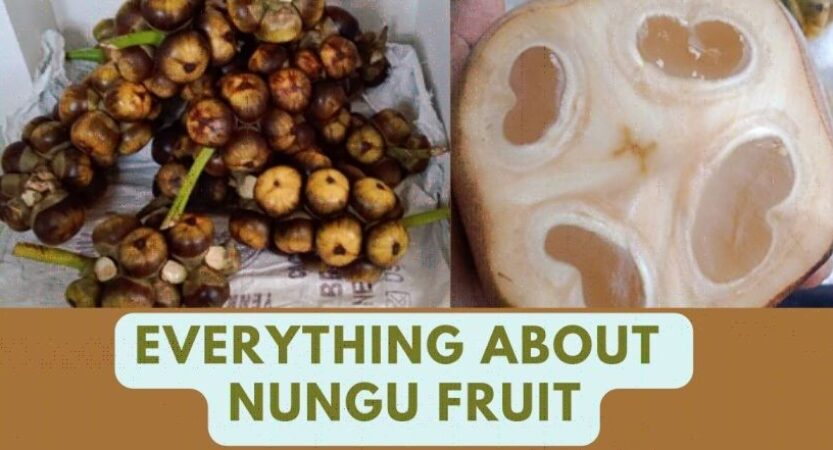 Nungu in English | Nungu Benefits | Taati Munjalu | Tadgola