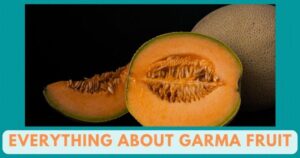 Garma Fruit in English | Garma Fruit Benefits | Cantaloupe