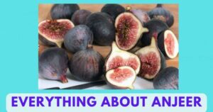 Anjeer in English | Anjeer Benefits | Anjir Fruit | Anjura