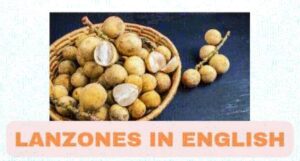Lanzones in English | Benefits of Lanzones | Lanzones Names
