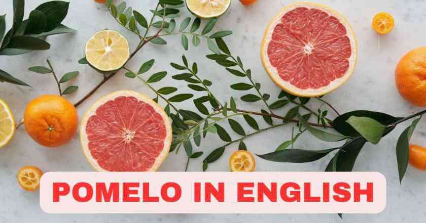 Pomelo in English | Benefits of Pomelo | Pomelo Names