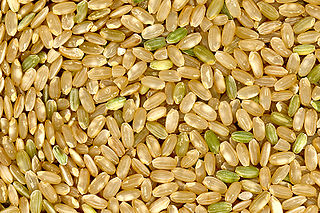 Brown Rice Glycemic Index