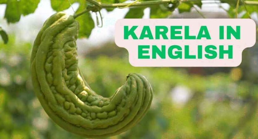Karela in English | Karela Benefits | Karela Juice Benefits