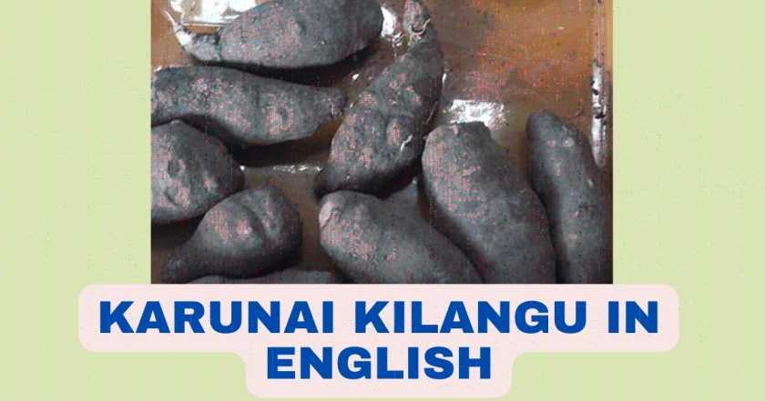 Karunai Kilangu in English | Karunai Kizhangu Benefits | For Piles