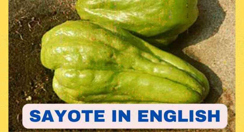 Sayote in English | Sayote Benefits