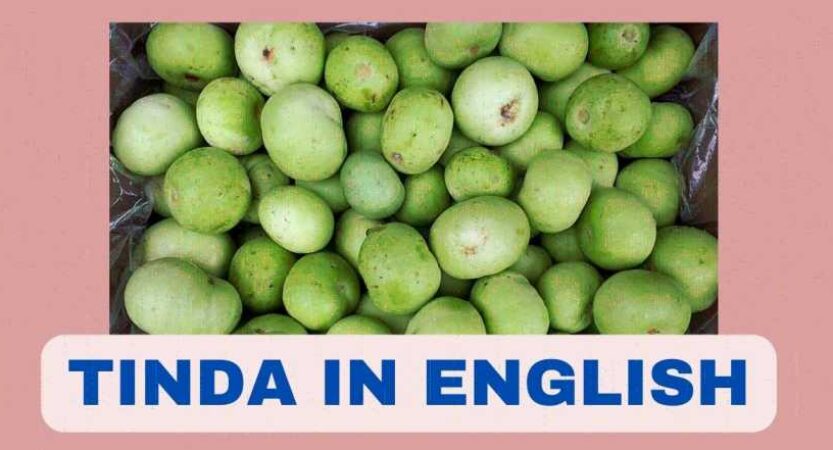 Tinda in English | Tinda Vegetable Name | Benefits