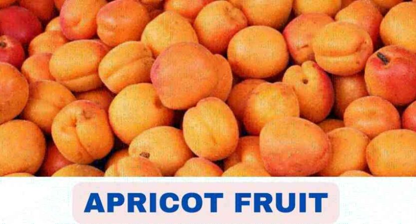 Apricot Fruit in Malayalam | Apricot Fruit Benefits