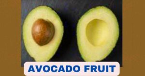 Avocado Fruit in Tamil | Avocado Benefits