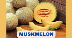 Muskmelon in Tamil | Muskmelon Benefits