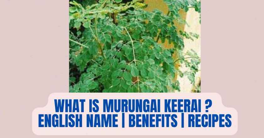 What is Murungai Keerai | English Name | Benefits | Recipes