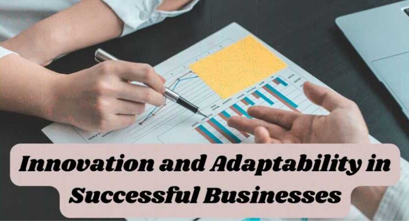 Innovation and Adaptability in Successful Businesses: Strategies for Staying Ahead in Rapidly Changing Markets
