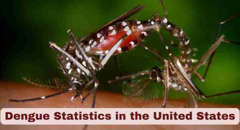 Dengue Statistics in the United States 2025
